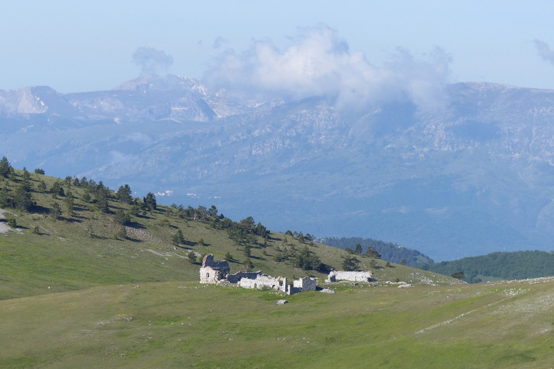 Orchidee a Campo Imperatore tra Medioevo e wilderness  primavera 2023